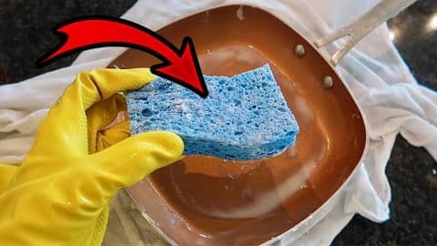 Sponge Cleaning Hack To Keep Your Pan Sparkling Clean | DIY Joy Projects and Crafts Ideas