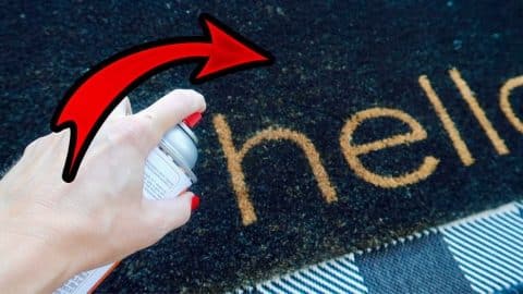 Surprising Mod Podge Rug Cleaning Hack | DIY Joy Projects and Crafts Ideas