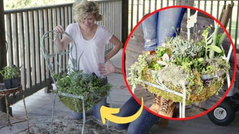 Transform An Old Chair Into A Cute Succulent Planter | DIY Joy Projects and Crafts Ideas