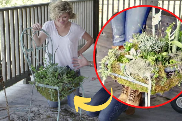 Transform An Old Chair Into A Cute Succulent Planter