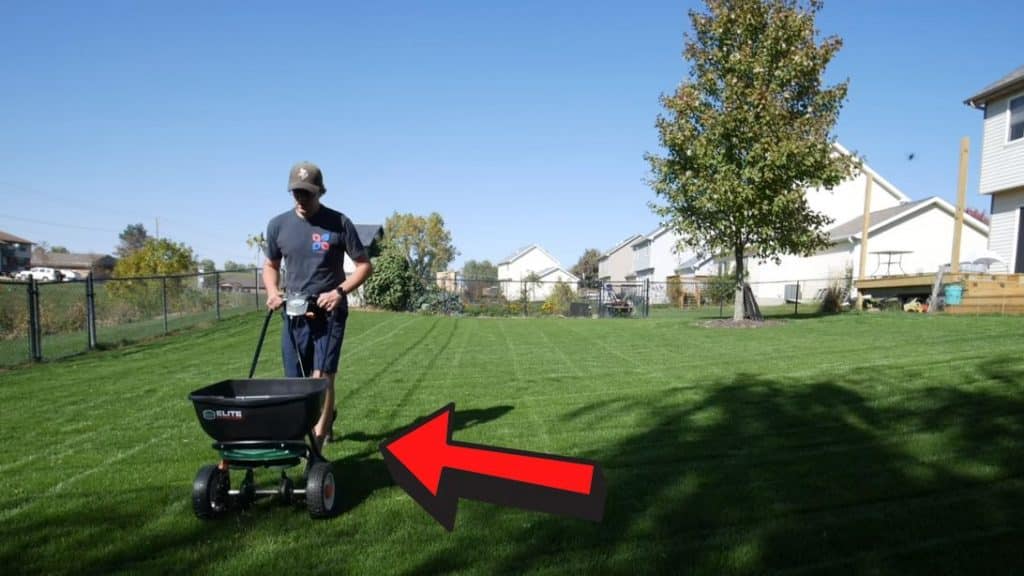 When and How to Start Fall Lawn Care