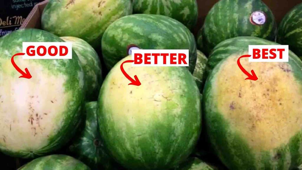 How to pick the best tasting fruits
