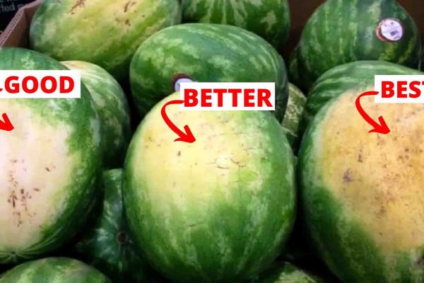 How to pick the best tasting fruits