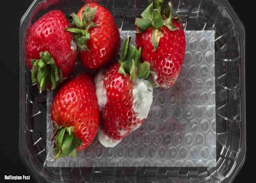 Look for molds to keep the strawberries fresh