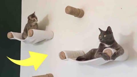 DIY Cat Wall Hammock Tutorial | DIY Joy Projects and Crafts Ideas