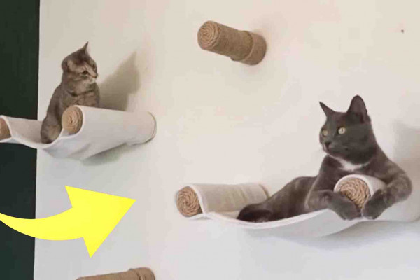 Easy DIY cat hammock tutorial