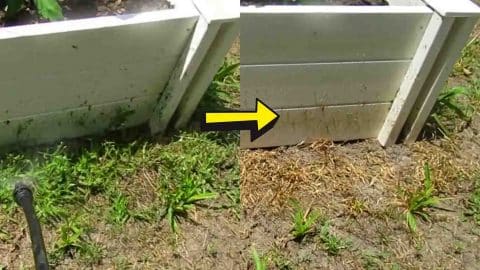 DIY Grass And Weeds Killer That Actually Works | DIY Joy Projects and Crafts Ideas