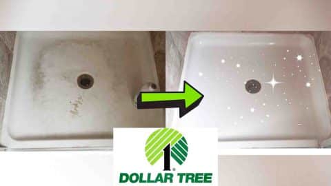 DIY Magic Shower Cleaner With Dollar Tree Items | DIY Joy Projects and Crafts Ideas