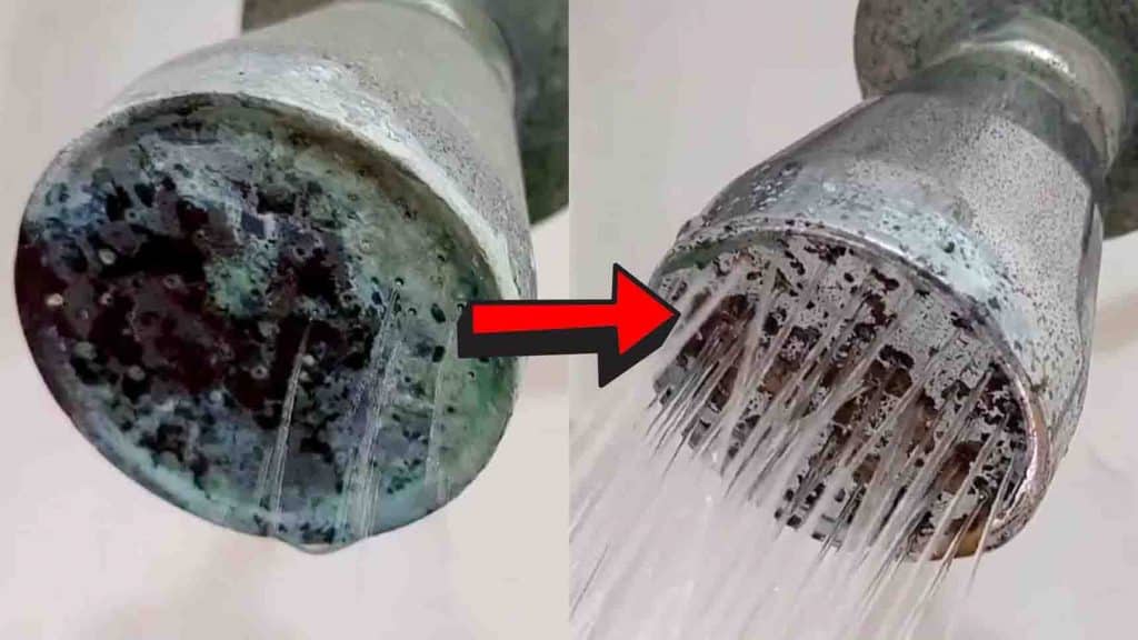 How to clean a clogged shower