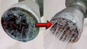 How To Clean A Clogged Shower