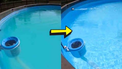 Easy Way To Fix A Cloudy Pool Water | DIY Joy Projects and Crafts Ideas