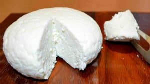 How to Make Cheese at Home