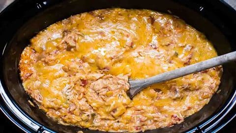 Slow Cooker Fiesta Chicken and Rice Casserole Recipe | DIY Joy Projects and Crafts Ideas