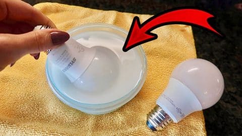 $1 Miracle Light Bulb Cleaning Hack | DIY Joy Projects and Crafts Ideas