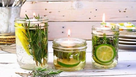 DIY Natural Mosquito Repellent Candles | DIY Joy Projects and Crafts Ideas