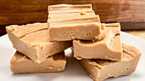 Easy 2-Ingredient Homemade Fudge Recipe | DIY Joy Projects and Crafts Ideas