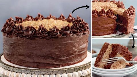 Easy German Chocolate Cake Recipe | DIY Joy Projects and Crafts Ideas