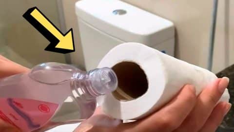 Easy Trick To Keep Your Bathroom Smelling Fresh All The Time | DIY Joy Projects and Crafts Ideas