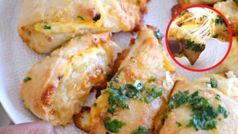 Easy and Cheesy Garlic Butter Bread Bites | DIY Joy Projects and Crafts Ideas