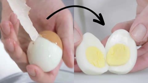 How To Make Perfect Boiled Eggs With Shells That Fall Off Easily | DIY Joy Projects and Crafts Ideas