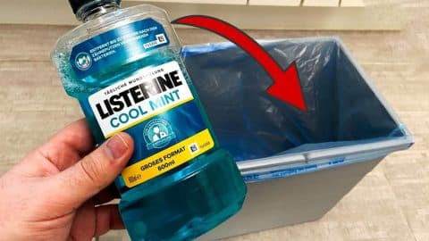How To Make Your Trash Can Smell Fresh Using Mouthwash | DIY Joy Projects and Crafts Ideas