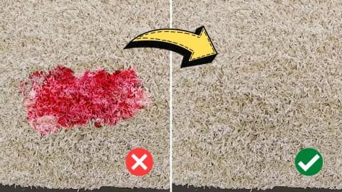 How To Remove Red Wine Stain From Carpet | DIY Joy Projects and Crafts Ideas
