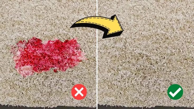How To Remove Red Wine Stain From Carpet - DIY Joy