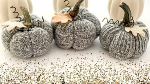 How to Make Pumpkin Socks | DIY Joy Projects and Crafts Ideas