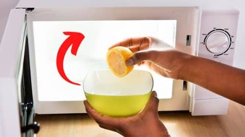 Microwave Cleaning & Deodorizing Hack Using Lemon & Vinegar | DIY Joy Projects and Crafts Ideas