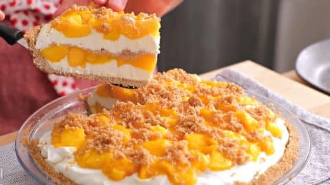 No-Bake 5-Ingredient Mango Pie | DIY Joy Projects and Crafts Ideas