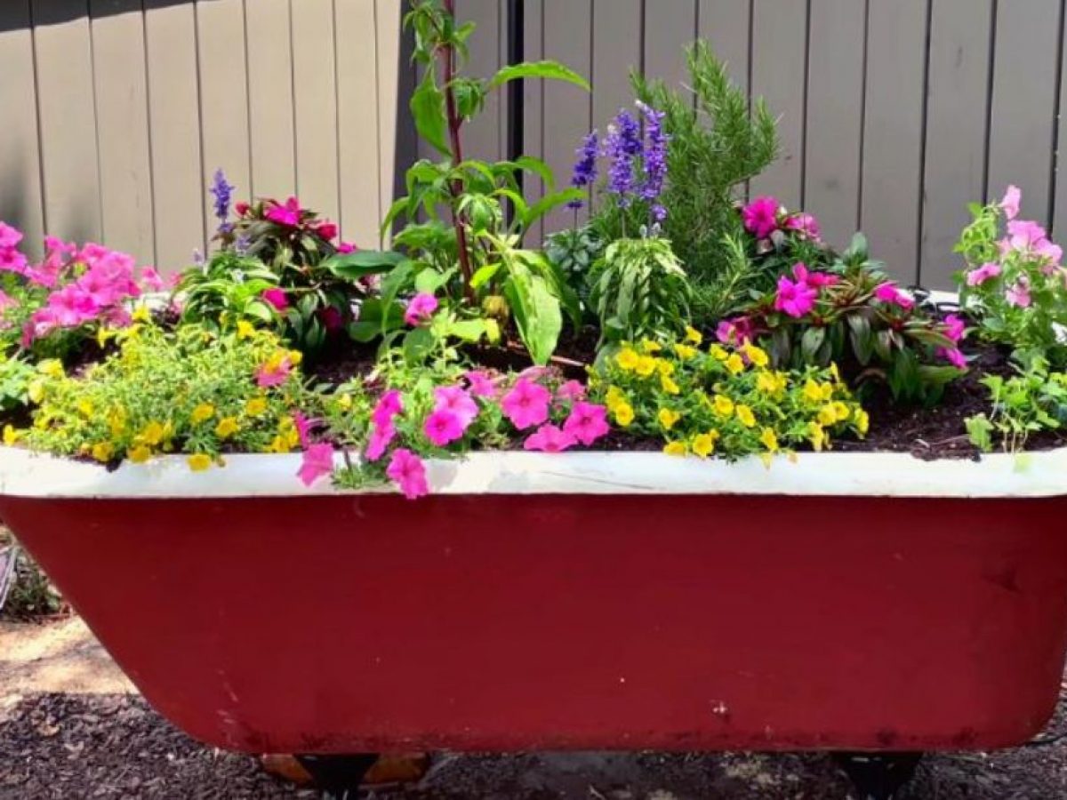 Clawfoot store tub garden