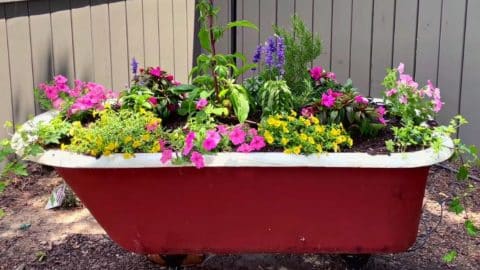 Repurposed Clawfoot Tub Garden Planter | DIY Joy Projects and Crafts Ideas