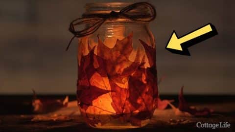 Super Easy DIY Fall Leaves Mason Jar Candleholder | DIY Joy Projects and Crafts Ideas