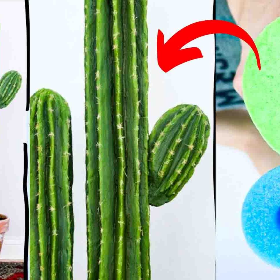 Easy DIY Big Cactus Plant Using Pool Noodles - DIY Joy
