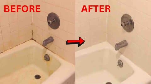 How To Clean A Moldy Shower Under 30 Minutes | DIY Joy Projects and Crafts Ideas