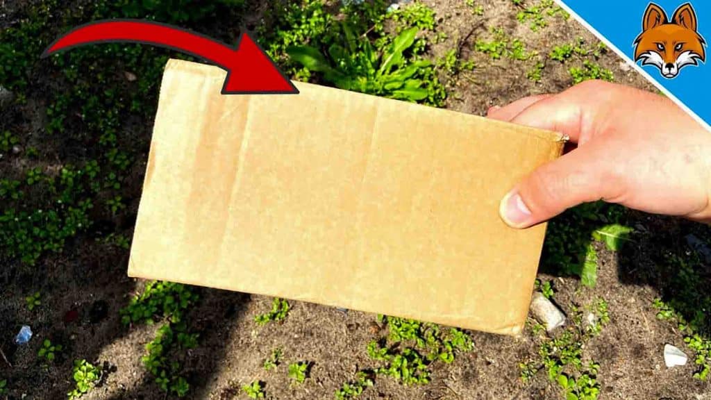 How to remove weeds with cardboard