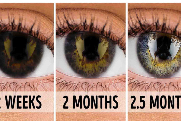 3 ways to improve your eyesight fast at home