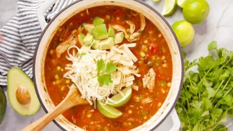 30-Minute Chicken Tortilla Soup | DIY Joy Projects and Crafts Ideas