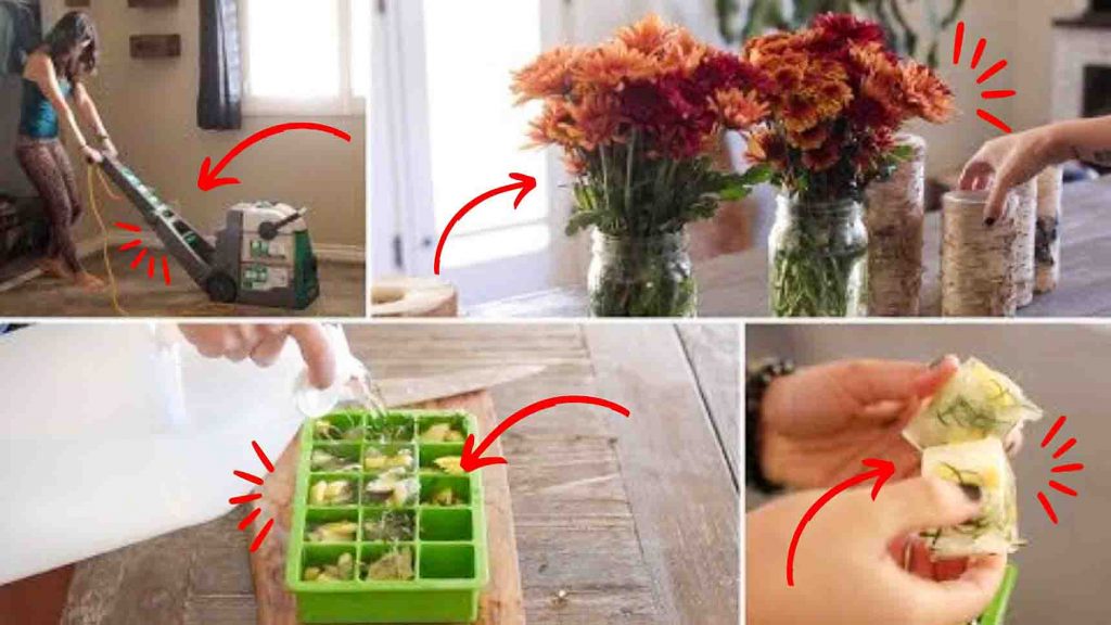 4 easy tips for a clean and fresh home