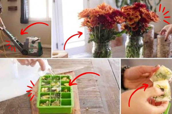 4 easy tips for a clean and fresh home