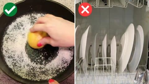 5 Ways You’re Cleaning Your Kitchen Wrong | DIY Joy Projects and Crafts Ideas