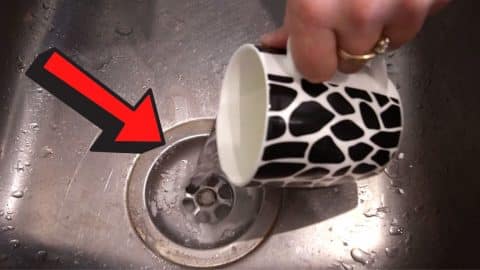 Best Natural Way to Clean a Stinky Sink Drain | DIY Joy Projects and Crafts Ideas