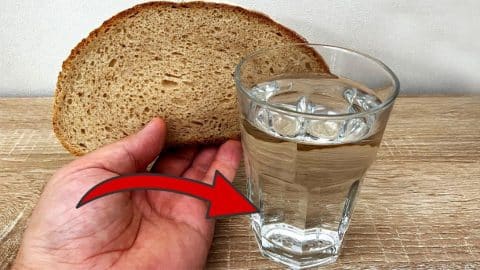 How To Make Stale Bread Fresh Again Using A Glass Of Water | DIY Joy Projects and Crafts Ideas