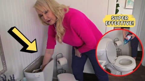 Learn The “Secret Plumber’s Trick” To Unclog A Toilet | DIY Joy Projects and Crafts Ideas