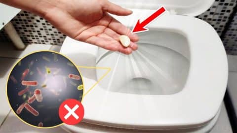 Quick & Effective Toilet Cleaning Hack Using Garlic | DIY Joy Projects and Crafts Ideas