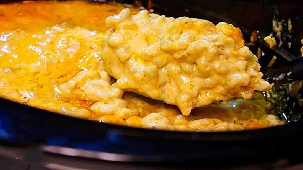 Creamy slow cooker macaroni and cheese recipe
