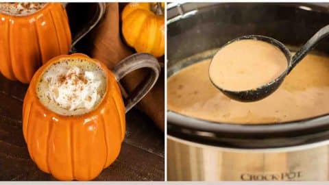 Slow Cooker Pumpkin Spice Lattes Recipe | DIY Joy Projects and Crafts Ideas