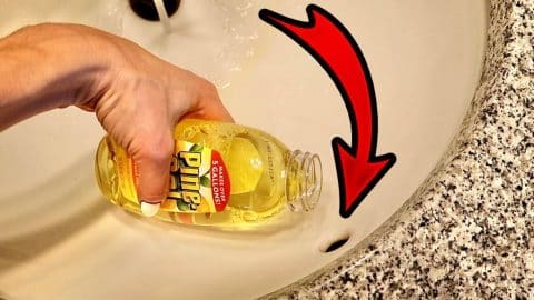 $1.25 Pine Sol hack Plumbers Don’t Want You To Know | DIY Joy Projects and Crafts Ideas