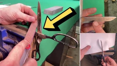 Easy Way To Sharpen Any Scissors | DIY Joy Projects and Crafts Ideas