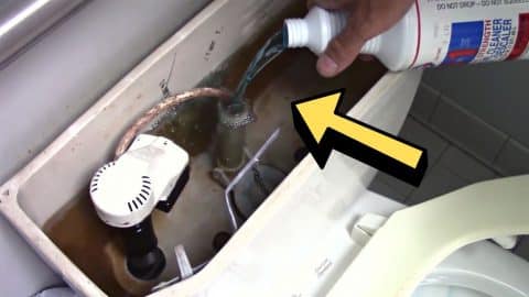How To Fix A Slow-Flushing Toilet Easily | DIY Joy Projects and Crafts Ideas